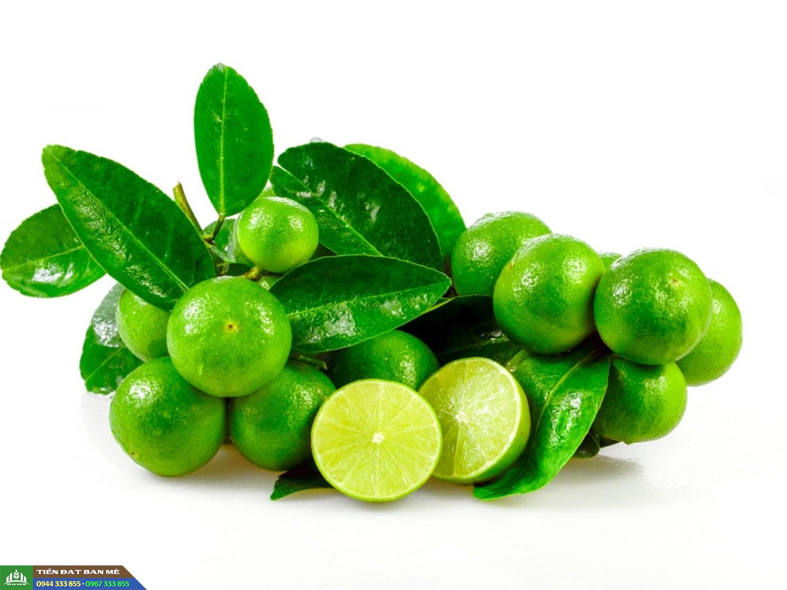 giong_chanh_khong_hat Giống chanh không hạt