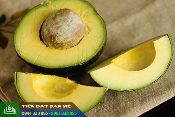 trai_bo_reed_giong_bo_sap_my Trái bơ Reed (giống bơ sáp Mỹ)