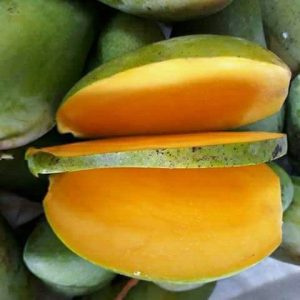 Giống xoài thái lan (giống xoài hạt lép)