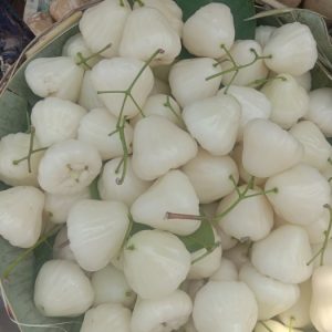 Giống cây mận trắng (giống mận sữa, giống roi trắng)