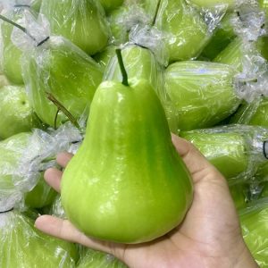 Mua giống mận xanh Tam Hoa ở đâu đảm bảo?