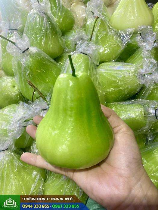 Mua giống mận xanh Tam Hoa ở đâu đảm bảo?